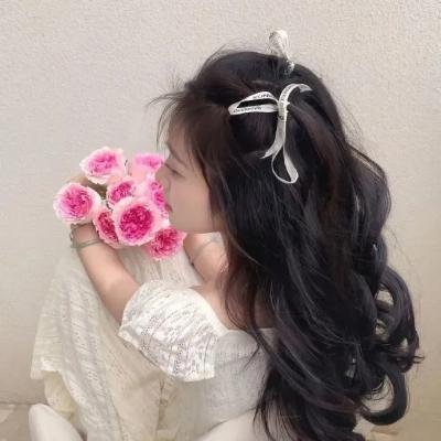 阿涅斯的海滩